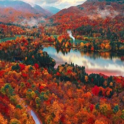 半岛·综合体育下载