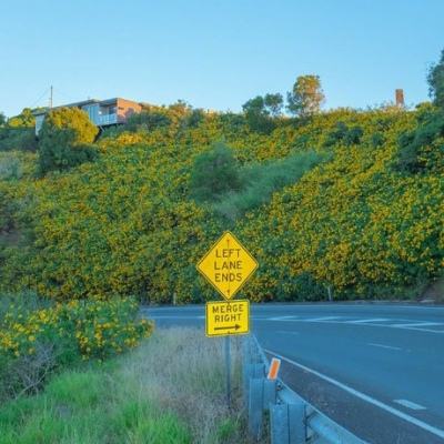 爱游戏com手机app下载截图